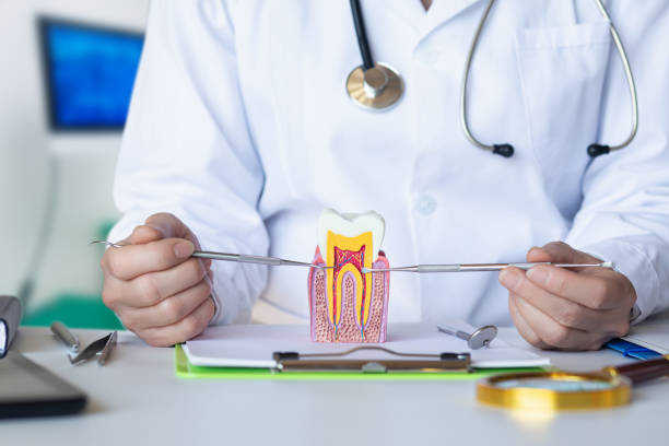 Best Tooth Pain Emergency Relief  in Charlotte, MI